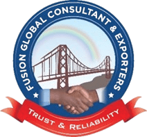 Fusion Global logo – passive telecom solutions Delhi