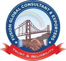 Fusion Global logo – passive telecom solutions Delhi